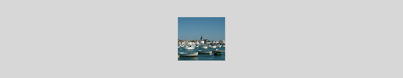 saint gilles croix de vie le port