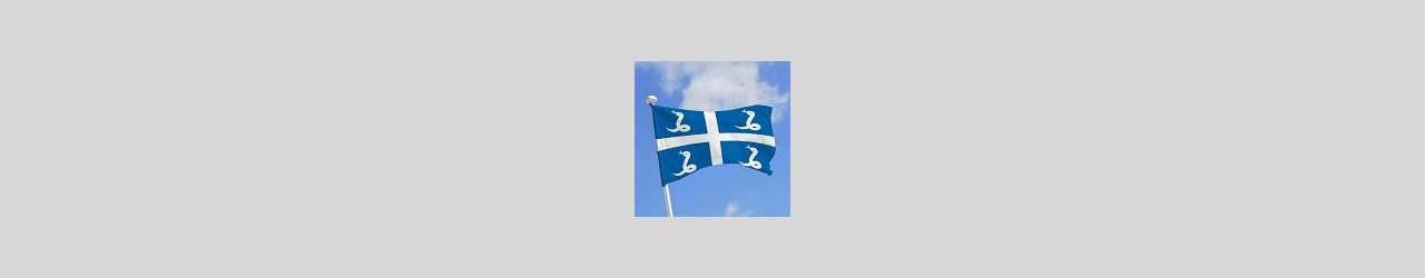 drapeau martinique