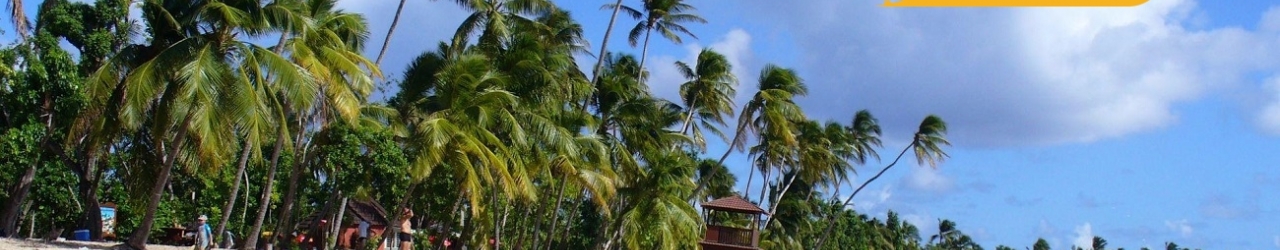 plage les salines martinique