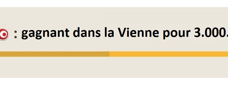 gagnant loto vienne 3 millions euros