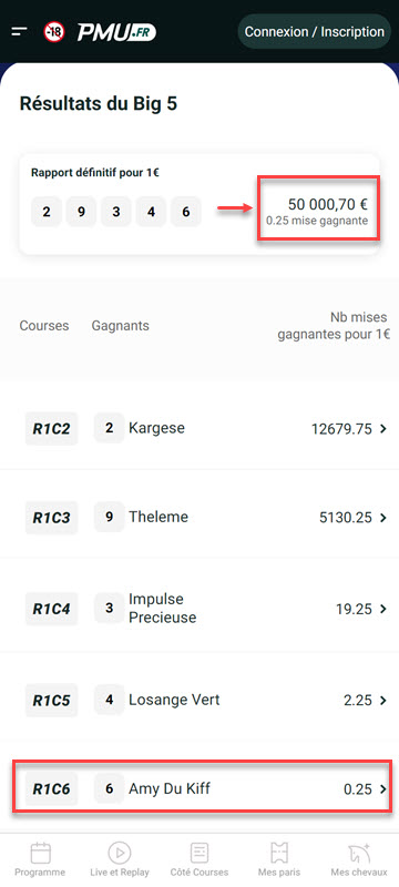 rapport du big 5 ce samedi 20 mai 2023 à Auteuil