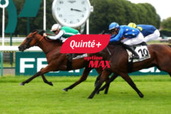 PMU : un gagnant Quinté+ remporte 1,4 million d&rsquo;euros à Mons-en-Baroeul, un record