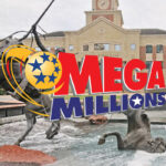 MegaMillions : Un texan décroche un jackpot record de 800 millions de dollars !