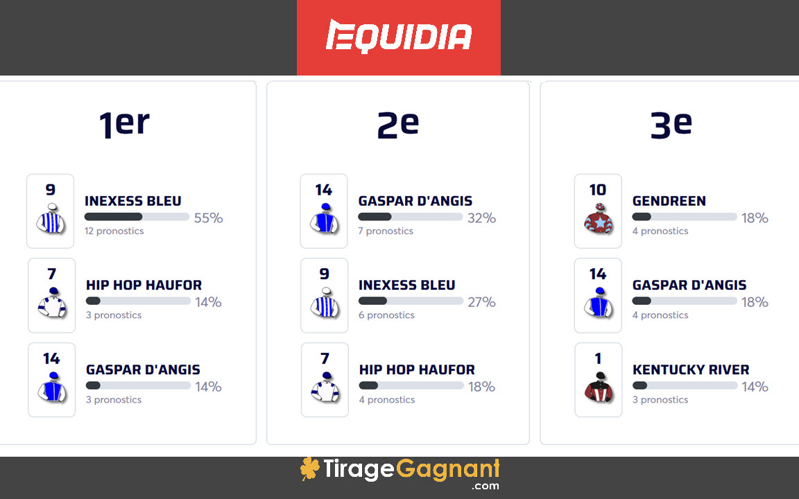 Pronostic Quinté+ du dimanche 15 décembre 2024 ; cotes, bases et outsider de ce Prix Jean Dumouch