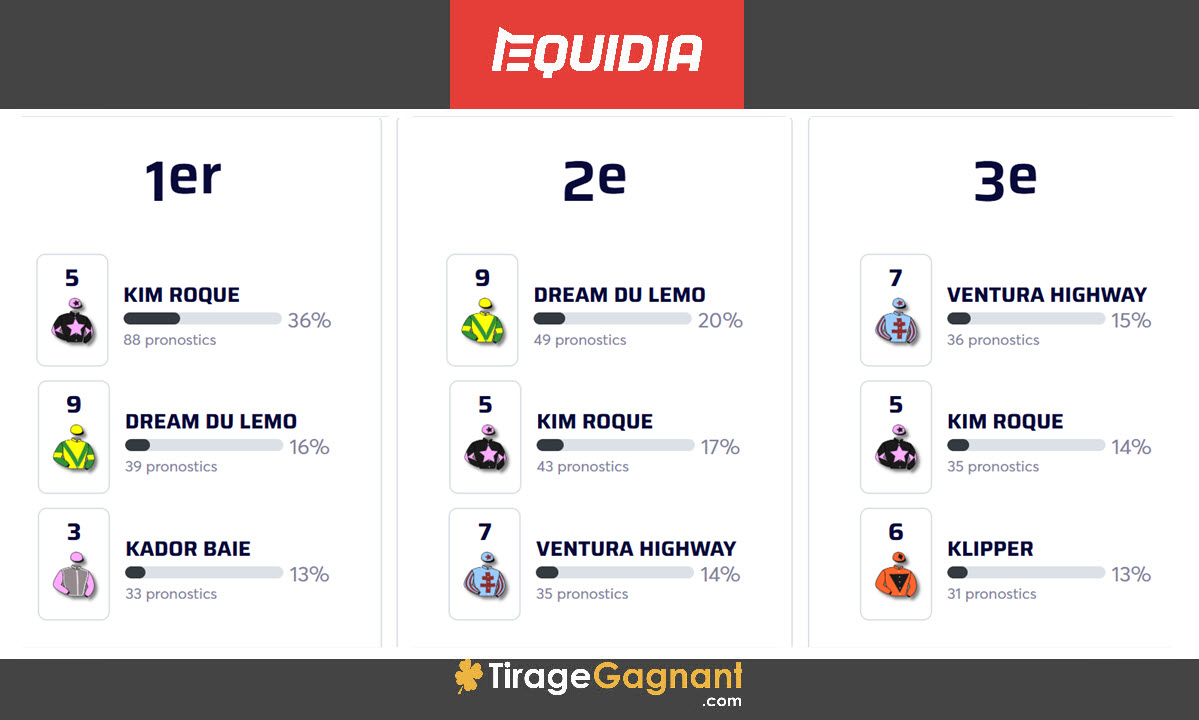 Pronostics du Quinté+ de ce 17 décembre par la communauté Equidia