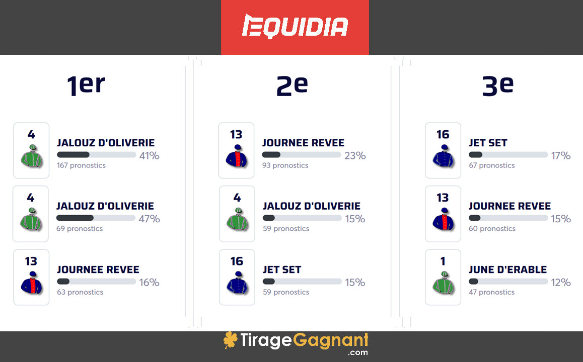 Pronostic Equidia pour ce samedi 21 décembre 2024