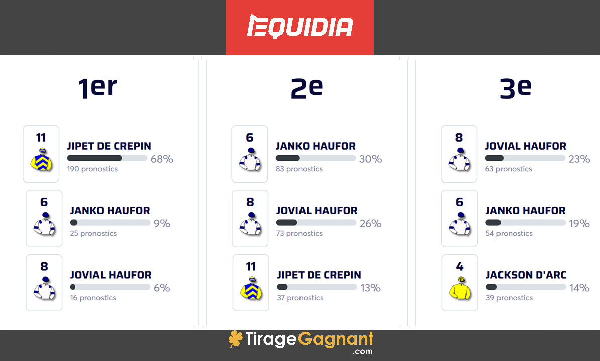 Pronostics de la communauté Equidia du vendredi 20 décembre 2024 : les cotes et les chevaux favoris