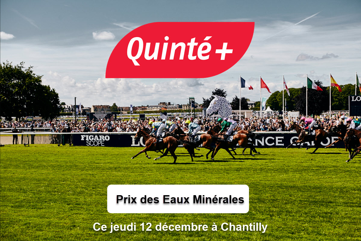 Pronostic Quinté+ du jeudi 12 décembre 2024 à Chantilly : Prix du Jardin des Eaux Minérales, course Quinté du jour