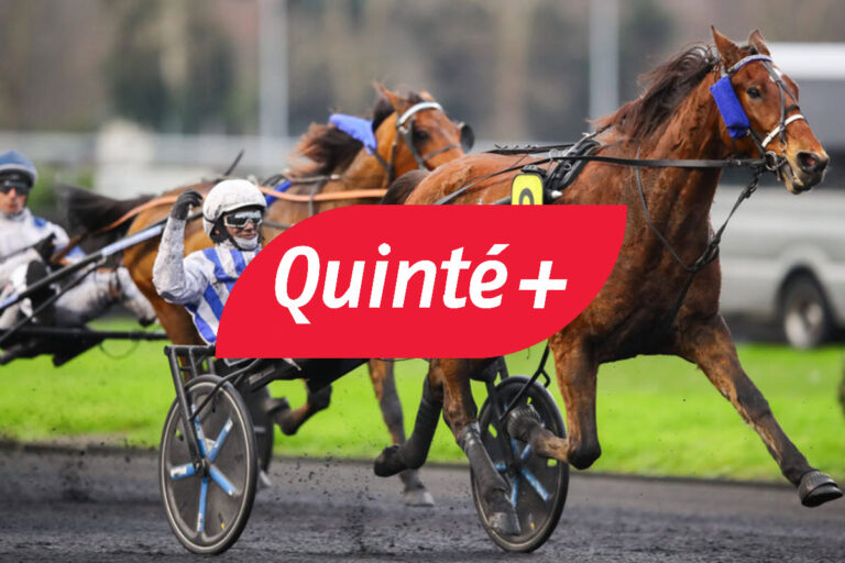 Pronostic Quinté du mercredi 18 décembre à Paris-Vincennes : victoire de Haitian Fight Song (n°10)