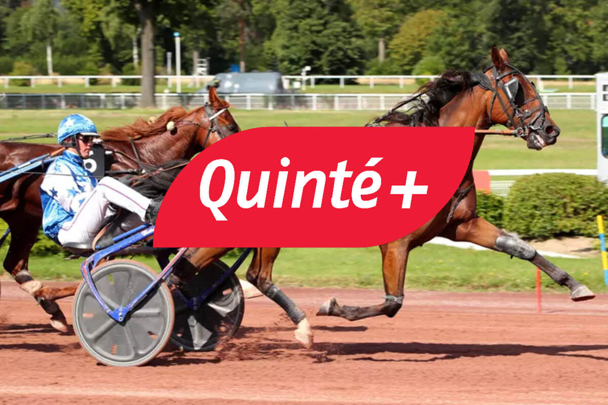 Pronostic Pmu Quint Du Vendredi D Cembre Paris Vincennes Cotes