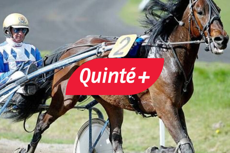 Pronostic Quinté du jour (samedi 21 décembre) à Paris-Vincennes (Prix d’Evreux) : résultats et rapports de gains