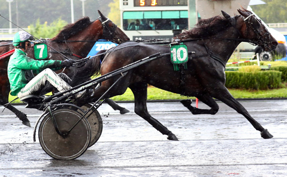 Hussard du Landret : outsider du Prix d'Amérique 2025