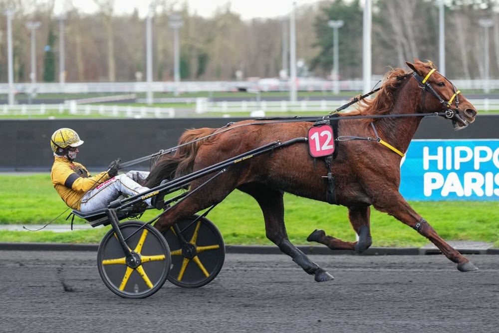 Iroise de la Noé pour le Prix d'Amérique