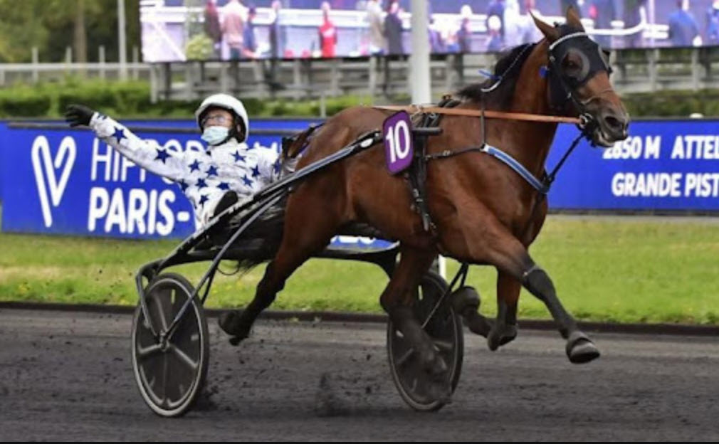 Go On Boy : le grand favori pour la victoire de ce Prix d'Amérique