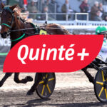 Quinté+ : un parieur de Divatte-sur-Loire décroche un gain record de plus de 137000€ !