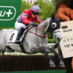 Quinté+ : ce parieur remporte près de 113 000€ à Commelle-Vernay en laissant faire le hasard