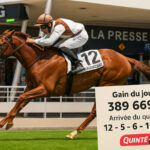 PMU : un parieur de Grasse mise trois euros et remporte près de 400 000€