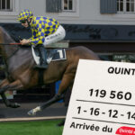 PMU : un parieur remporte 120 000€, l’incroyable coup de chance de ce parieur marseillais au Quinté+