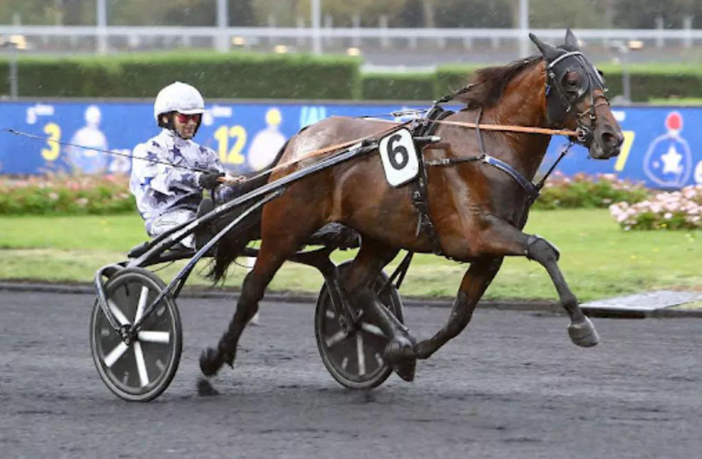 Go On Boy, le favori de ce Prix d'Amérique 2026