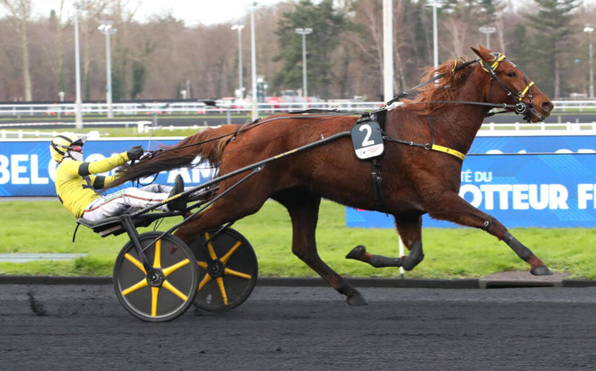 Iroise de la Noé, victorieuse du Prix de Belgique