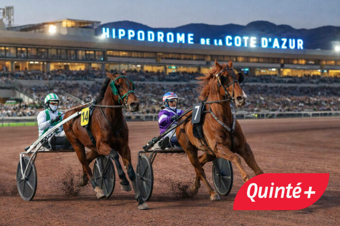 Pronostic Quinté+ du jour ce jeudi 12 février 2026 : cotes, partants, analyse du Prix Jules Roucayrol