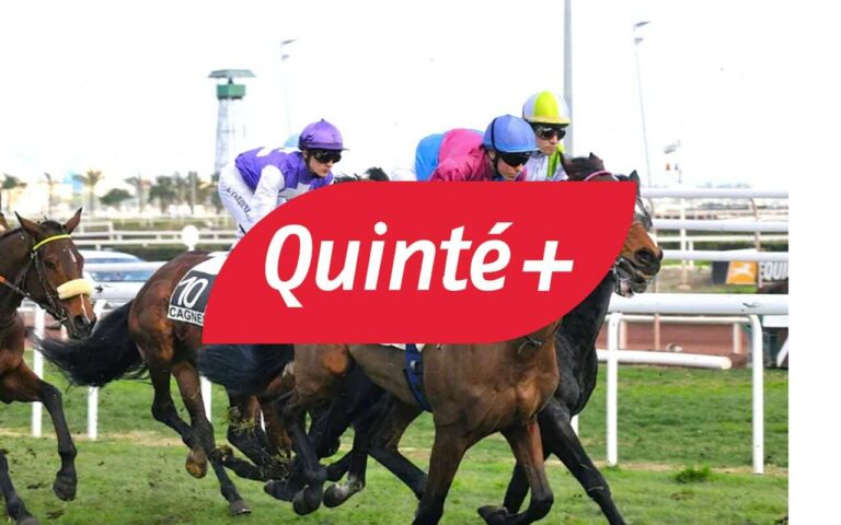 Pronostics Quinté du jour ce mardi 24 février 2026 : cotes PMU, partants et analyse de la Presse