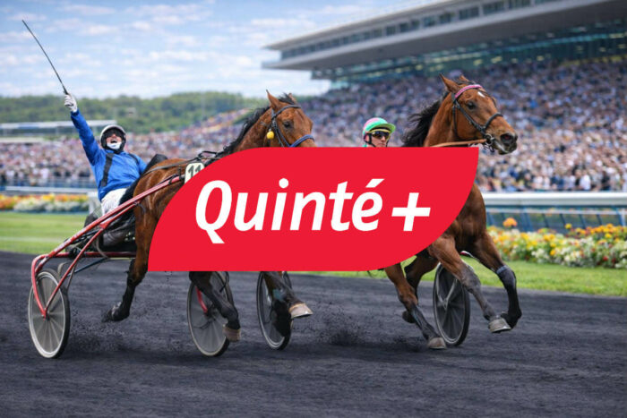 Arrivée du Quinté du jour ce samedi 28 février : 13 parieurs remportent 28 500€, le rapport PMU complet