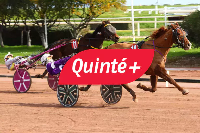 Quinté+ du jour ce jeudi 12 février 2026 : arrivée, résultats, rapport PMU du Prix de Roucayrol