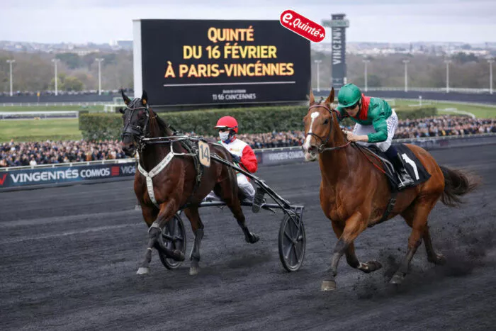 Quinté+ du jour ce lundi 16 février 2026 : résultats et rapport de gains, victoire de Competivo n°13