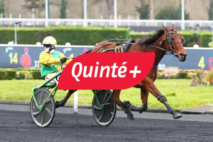 Quinté+ du jour ce mercredi 11 février 2026 – Prix de Château-Gontier : résultats, rapport de gains