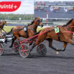 Pronostics Quinté du Jour ce jeudi 19 février 2026 : dernières cotes et analyse de la Presse