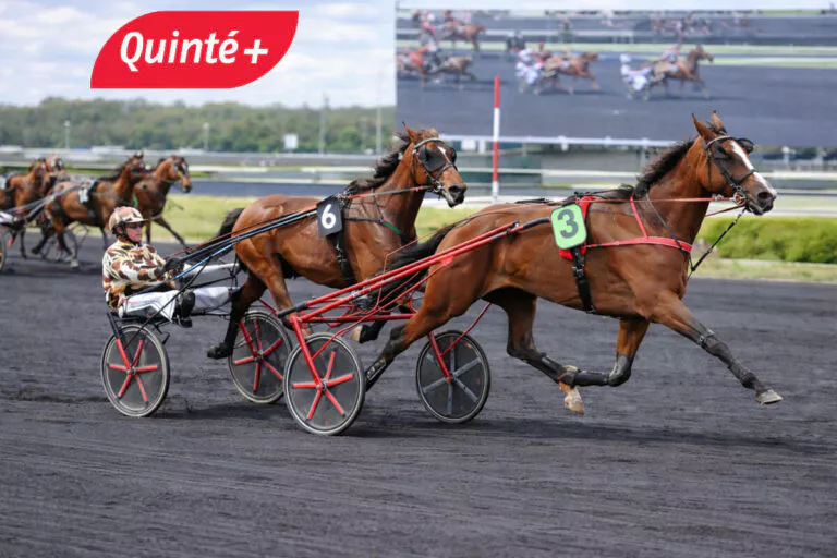 Pronostics Quinté du Jour ce jeudi 19 février 2026 : dernières cotes et analyse de la Presse