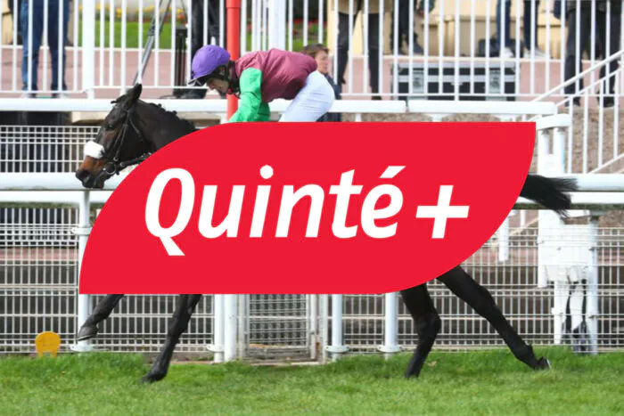 Quinté du jour ce lundi 23 février : arrivée de la course, résultats et rapport PMU du Prix Rose Laurel
