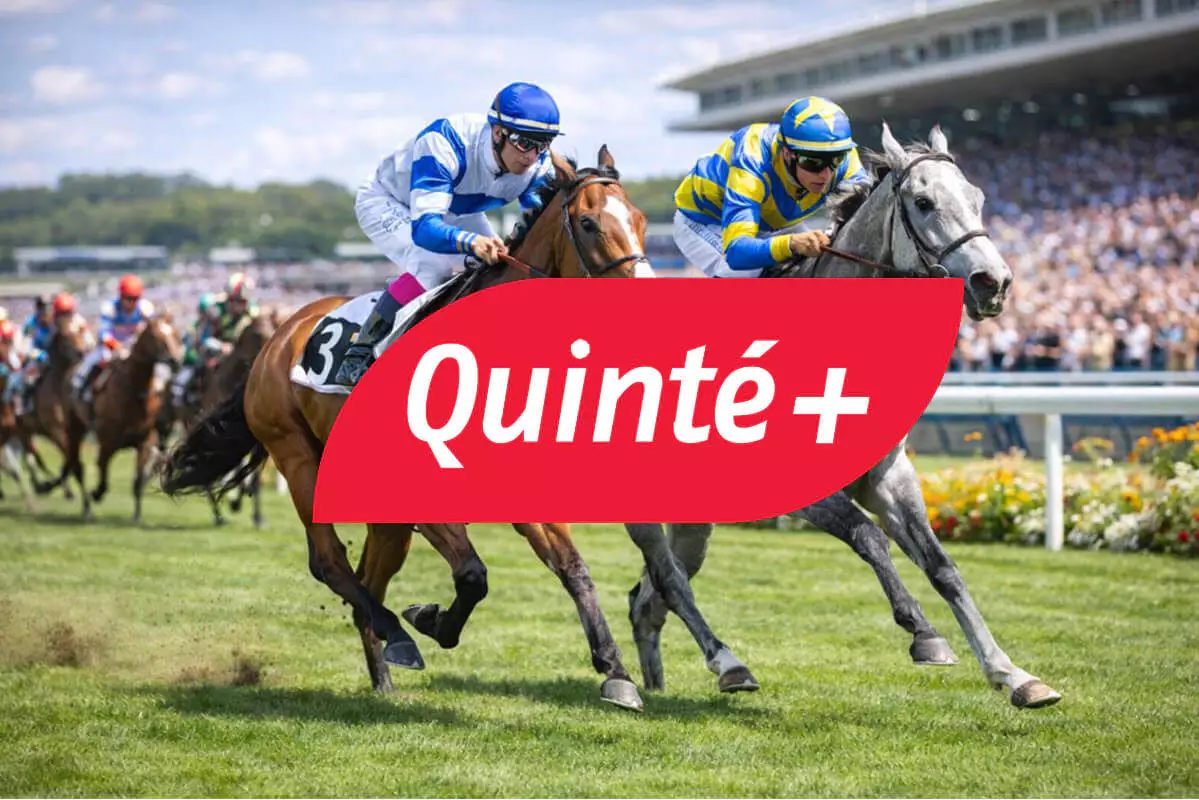 Quinté du jour ce mercredi 18 février : résultats et rapport du Prix Henri Rossi, victoire de Big Log