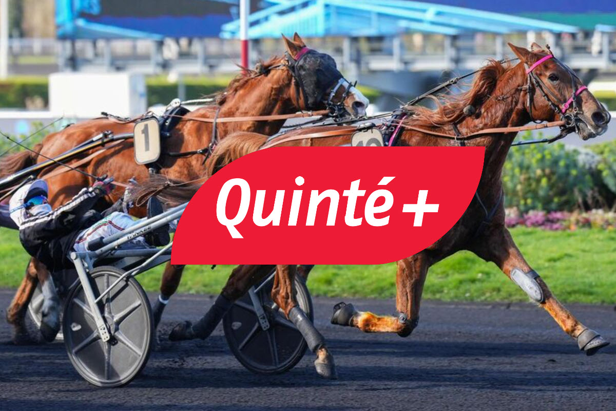 Quinté du jour ce mardi 17 février - Prix du Chesnay : résultats et rapport complet, victoire de Jilord Viva (n°10)