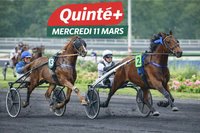 Pronostics Quinté+ PMU de demain ce mercredi 11 mars : cotes probables et analyse de la Presse