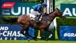 PMU : « il a été un peu sonné », il ne pensait pas gagner 1.107.342€ lors du Grand Steeple-Chase