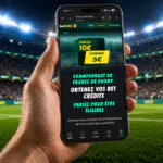 Bet365 : 5 € offerts pour 10€ misés sur la dernière journée de Top 14 ce samedi
