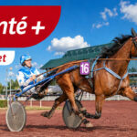 Résultat du Quinté+ du 31 juillet à Cabourg : l’arrivée, les rapports PMU et notre bilan