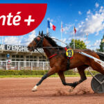 Pronostic Quinté+ du jour mercredi 29 juillet à Enghien : 2 bases, tocard et cotes PMU