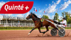 Prix de Pigalle : l’arrivée du Quinté+ du 29 juillet et les rapports PMU