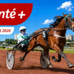 Pronostic Quinté+ du jour jeudi 6 août à Enghien : 2 bases et le tocard (cotes du jour)