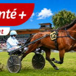 Pronostic Quinté+ du jour mercredi 5 août à Saint-Malo : 2 bases et le tocard (cotes à jour)