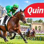 Pronostics et Cotes Quinté+ du jour à Chantilly : 2 bases et tocard du Prix de la Chambre du Duc | 29/09/2026