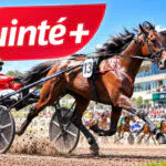 Pronostic et cotes Quinté+ du jour mercredi 30 septembre à Laval : 2 bases et le tocard du Prix Anjou-Maine