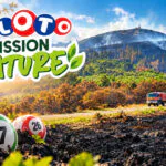 Loto Mission Nature : mercredi soir, 0.54€ de chaque grille partent reboiser la forêt de Fontainebleau
