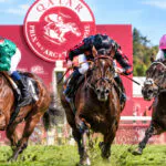 Favoris du Prix de l&rsquo;Arc de Triomphe 2026 : analyse des 5 chevaux à battre (Daryz, Maltese Cross, Kalpana)