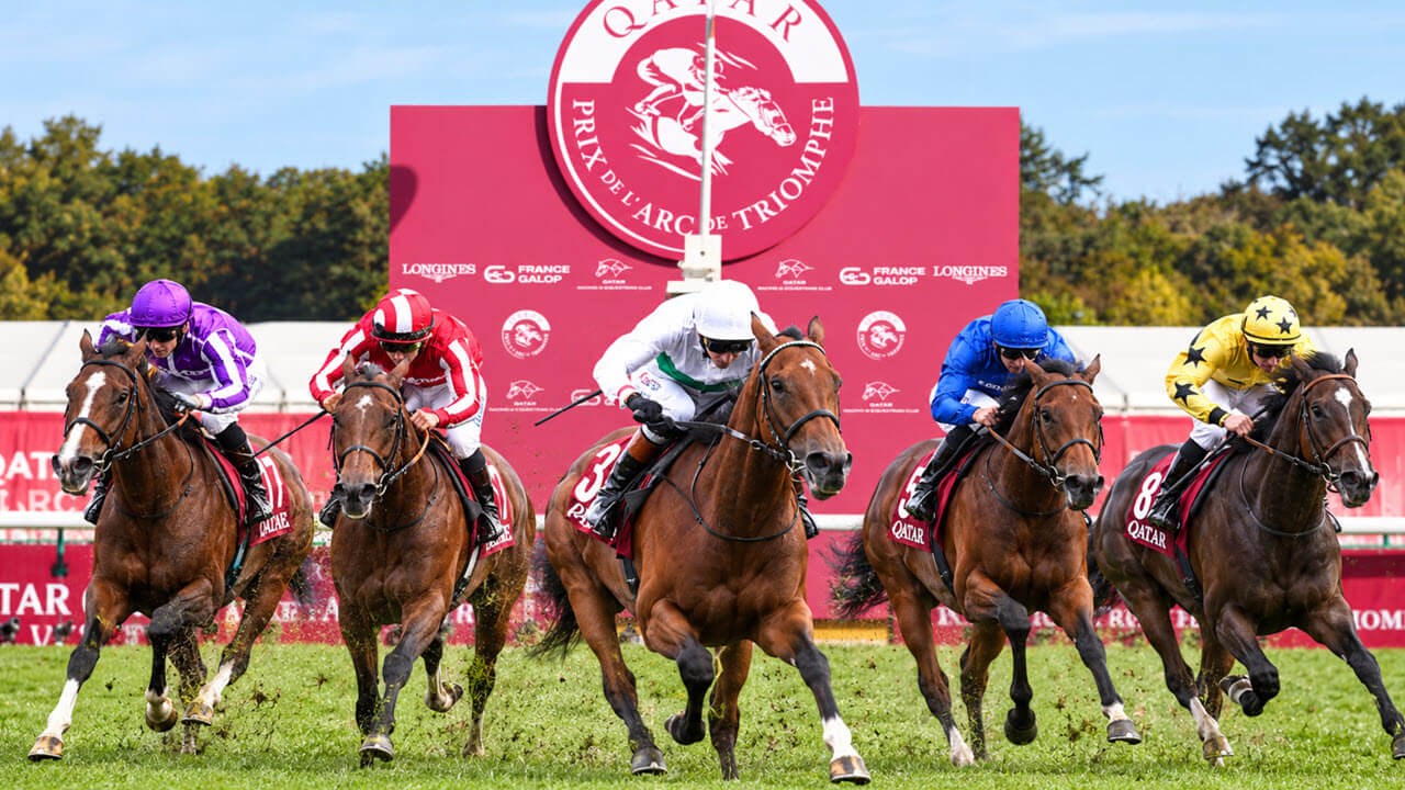Photo : tirage-gagnant.com Qatar Prix Arc de Triomphe 2026 : 5 chevaux outsiders