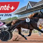 Pronostics Quinté+ du jour ce samedi 10 octobre 2026 : cotes PMU avec Kassya en favori