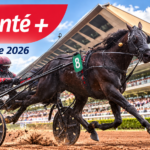 Pronostics Quinté+ du jour ce vendredi 16 octobre : cotes, analyses du Prix Thémis